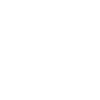 交易规模:全球领先的交易量表现